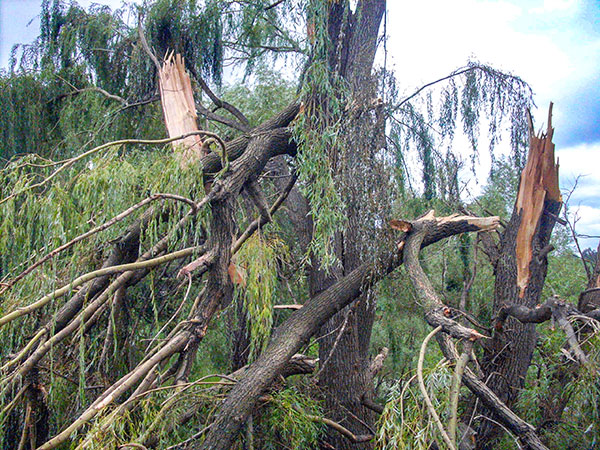 SBC Insurance Restoration